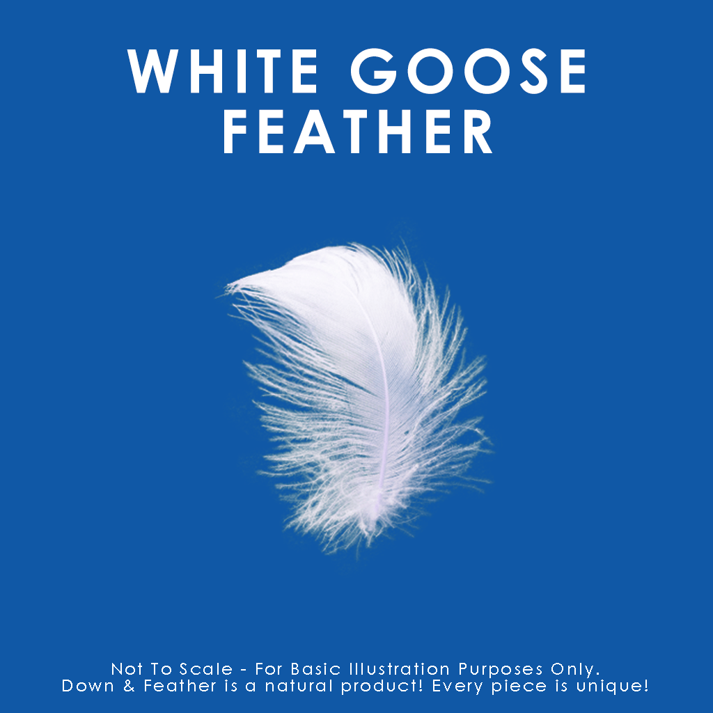 Quilted White Goose Feather Pillow Pillow Canadian Down & Feather Company