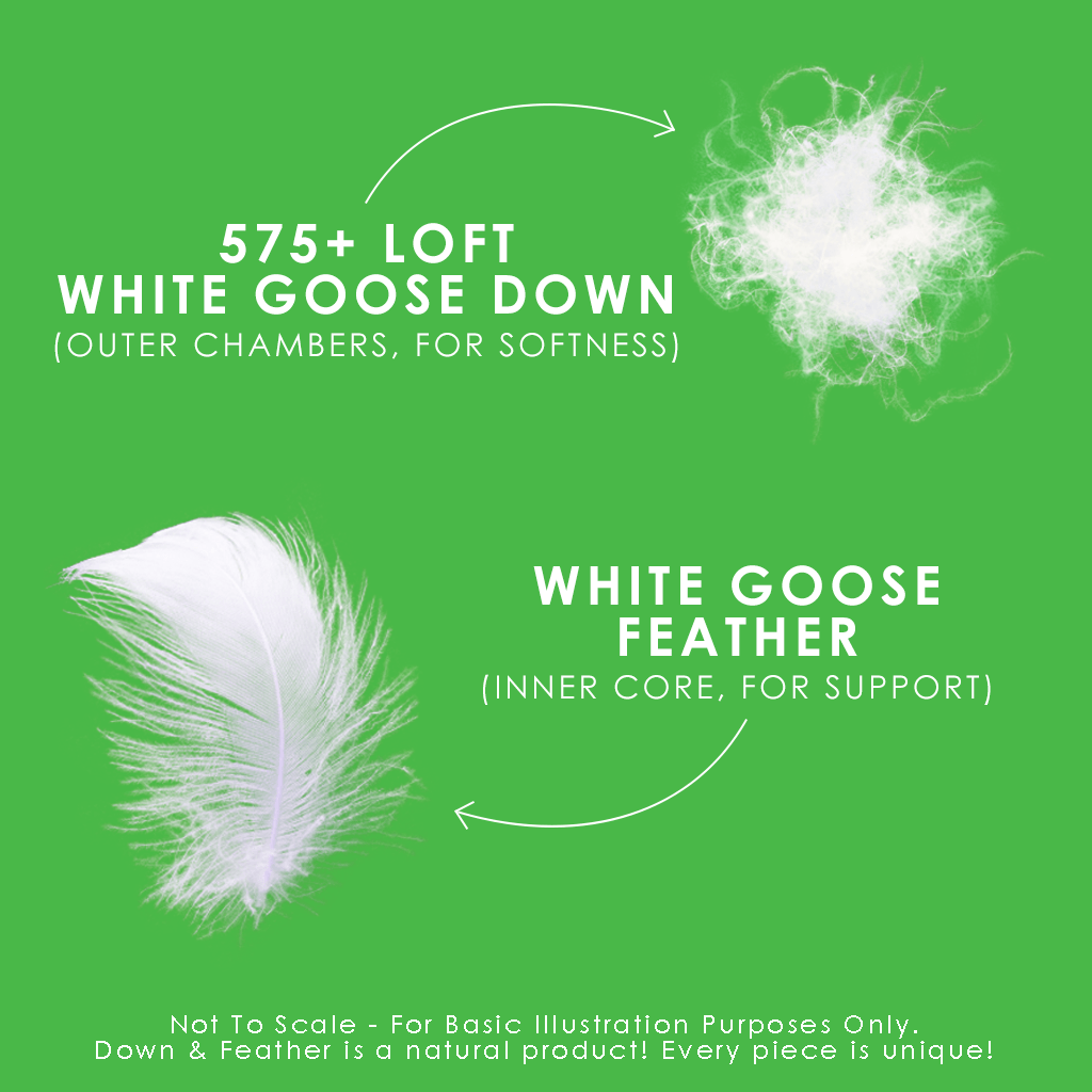 Down Perfect Cushions Cushions Canadian Down & Feather Company