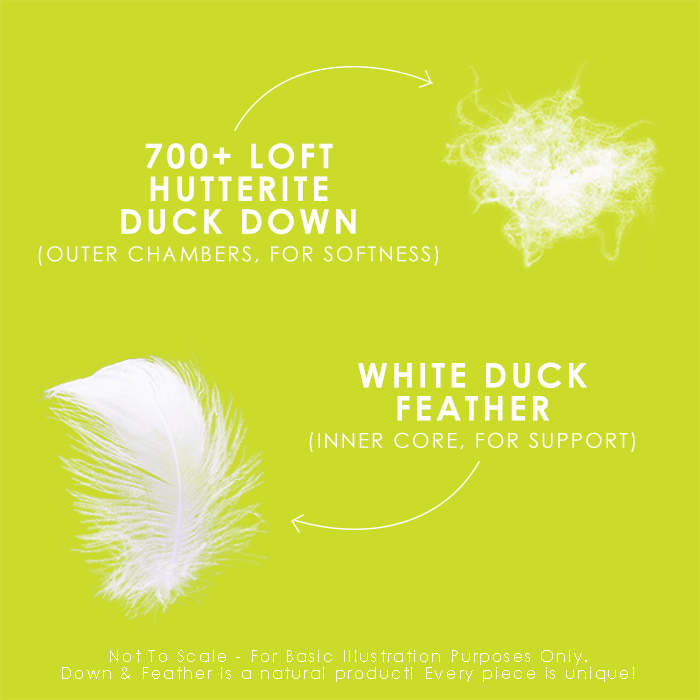 Hutterite Down Perfect Pillow Pillow Canadian Down & Feather Company