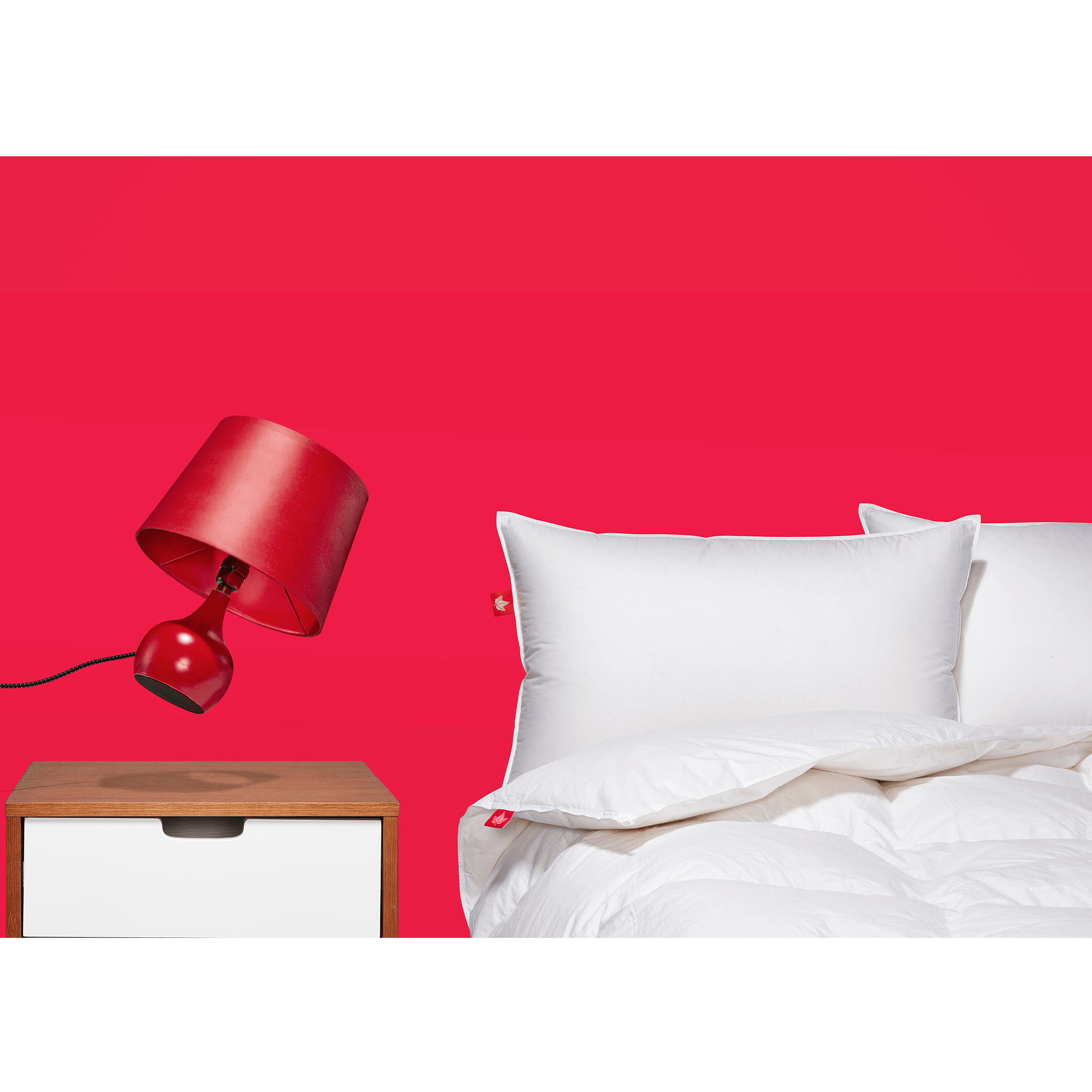 850 Loft Hutterite Goose Down Duvet Duvet Canadian Down & Feather Company