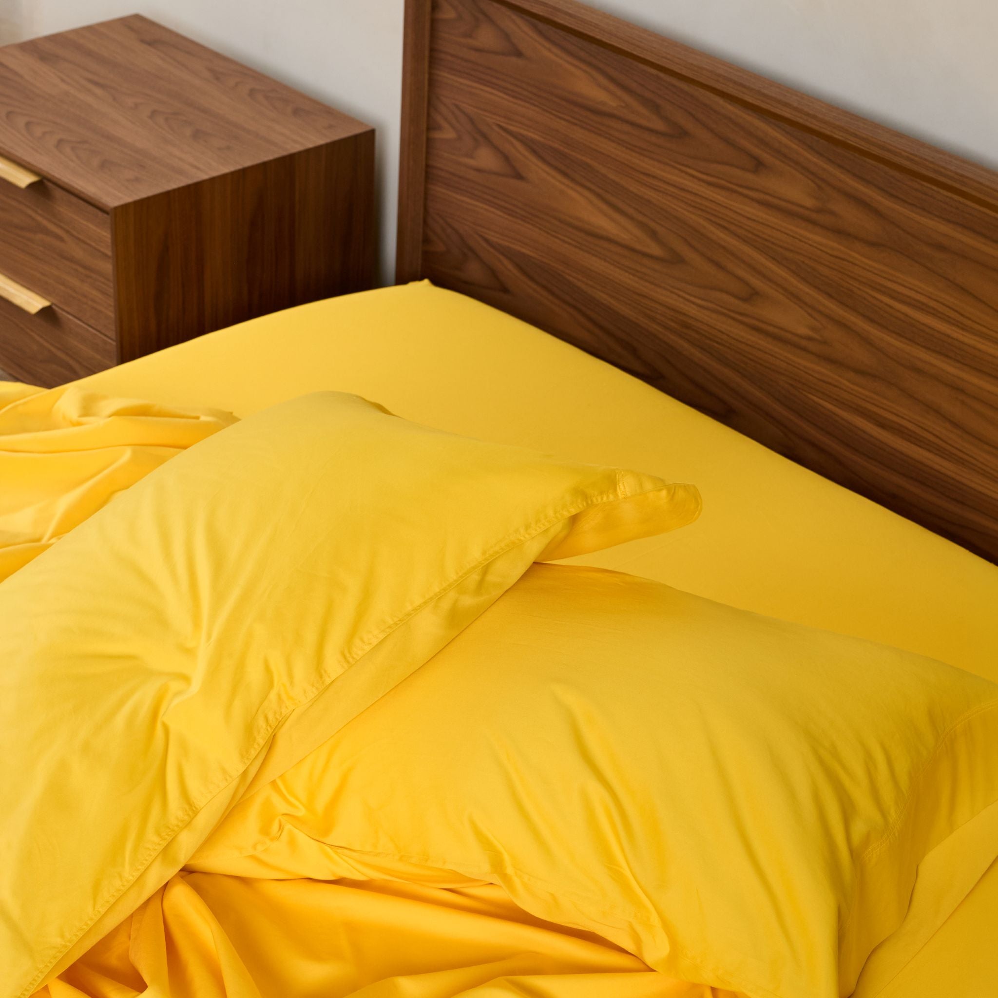 Maize Flat Sheet